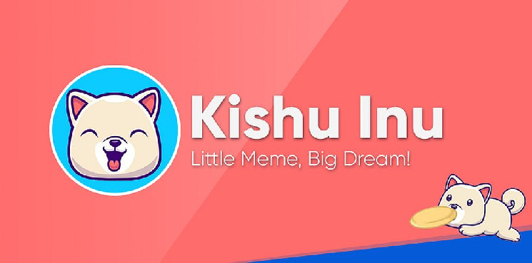 Kishu Inu