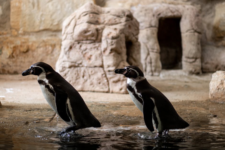 Логотип криптовалюти Pudgy Penguins (PENGU)