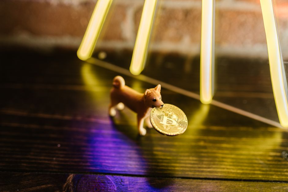 Ілюстрація Bitcoin з написом DOG Mode